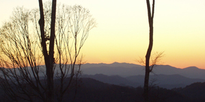 The view from the top of Wolf Ridge, Wolf Laurel, NC.  