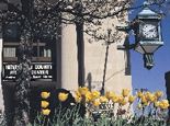 Historic downtown Hendersonville .  Photo compliments of Henderson County Travel & Tourism. 