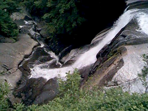 Begin your walk at the Linville Falls Visitor Center and pass through remnants of a virgin hemlock forest mixed with other familiar trees such as white pine, oaks, hickory, and birch.  