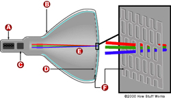 Visit this unique site on How Stuff Works.